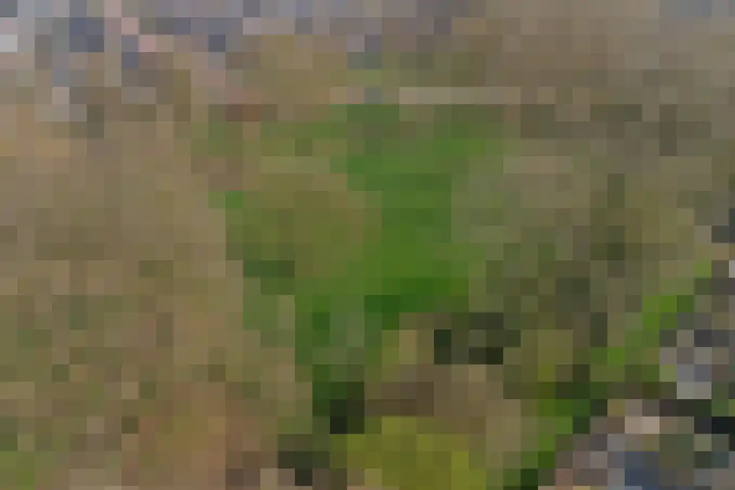 De Dieze 1 Goirle thumbnail 39