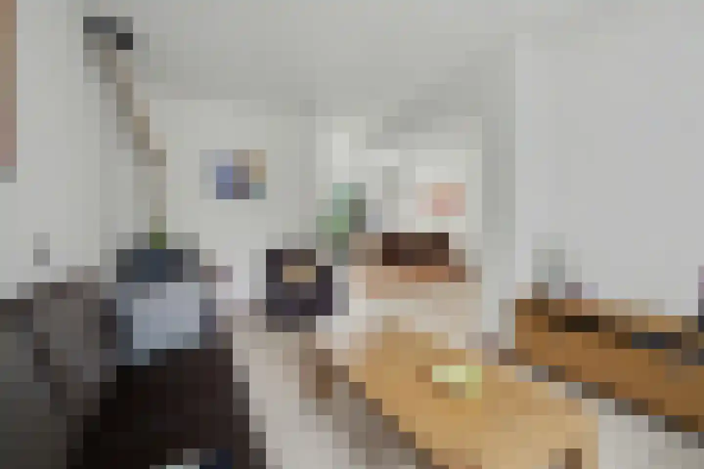 De Dieze 1 Goirle thumbnail 9