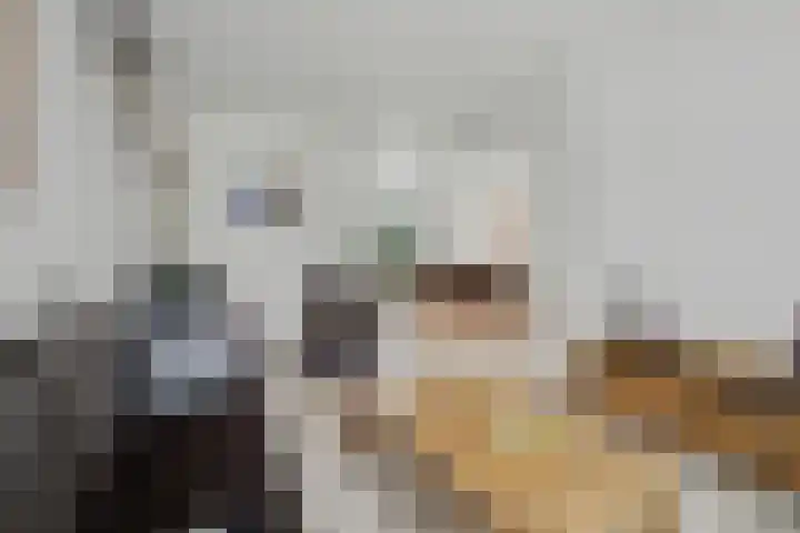 De Dieze 1 Goirle thumbnail 9