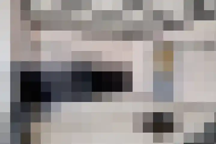 De Dieze 18 Goirle thumbnail 11