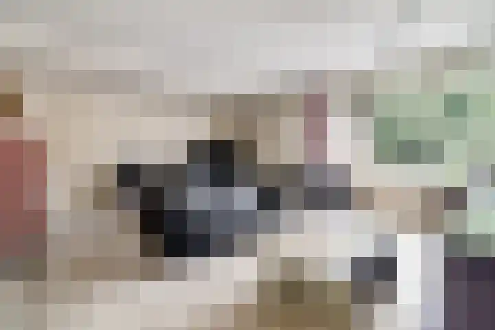 De Dieze 18 Goirle thumbnail 12