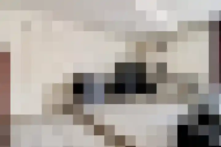 De Dieze 18 Goirle thumbnail 16