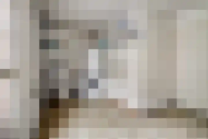 De Dieze 18 Goirle thumbnail 21