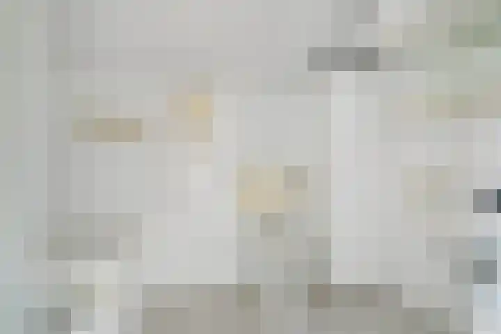 De Dieze 18 Goirle thumbnail 30