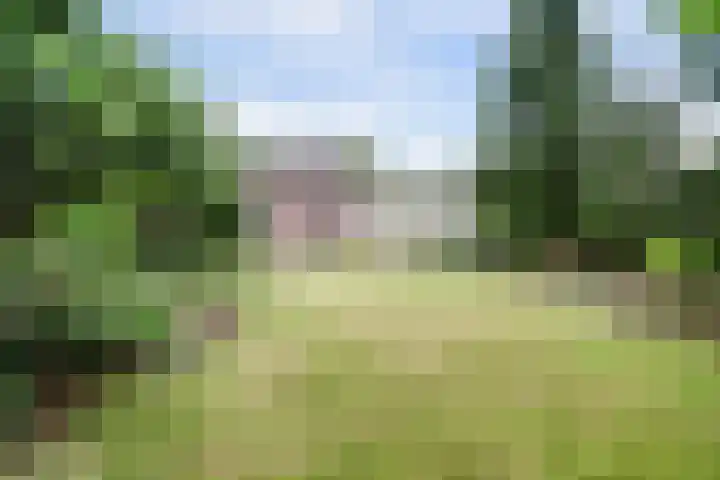 De Dieze 18 Goirle thumbnail 34