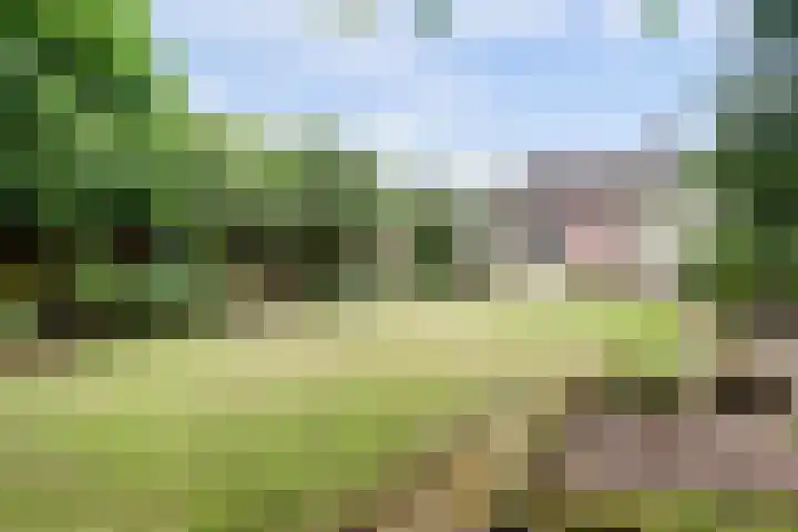 De Dieze 18 Goirle thumbnail 35