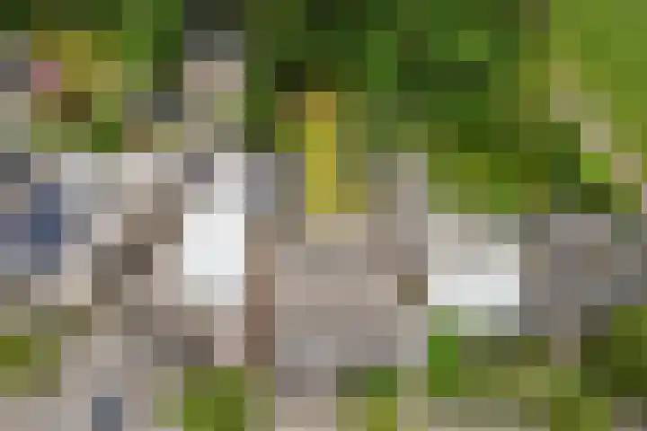 De Dieze 18 Goirle thumbnail 36