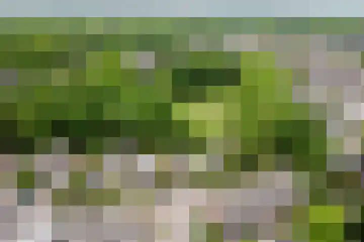De Dieze 18 Goirle thumbnail 4