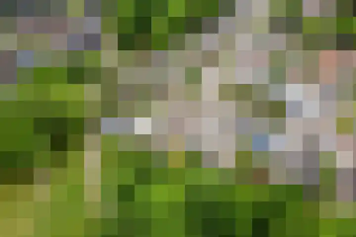 De Dieze 18 Goirle thumbnail 5