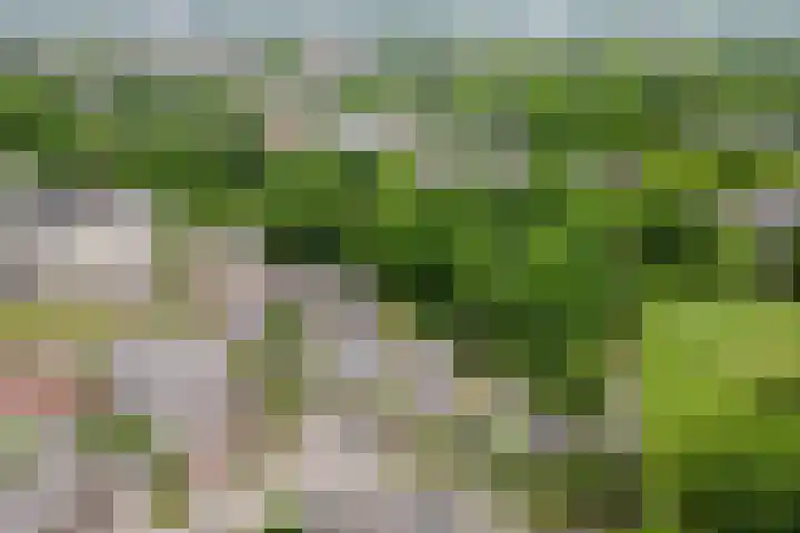 De Dieze 18 Goirle thumbnail 6