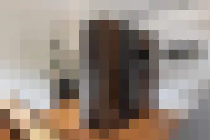 de Dieze 21 Woerden thumbnail 11