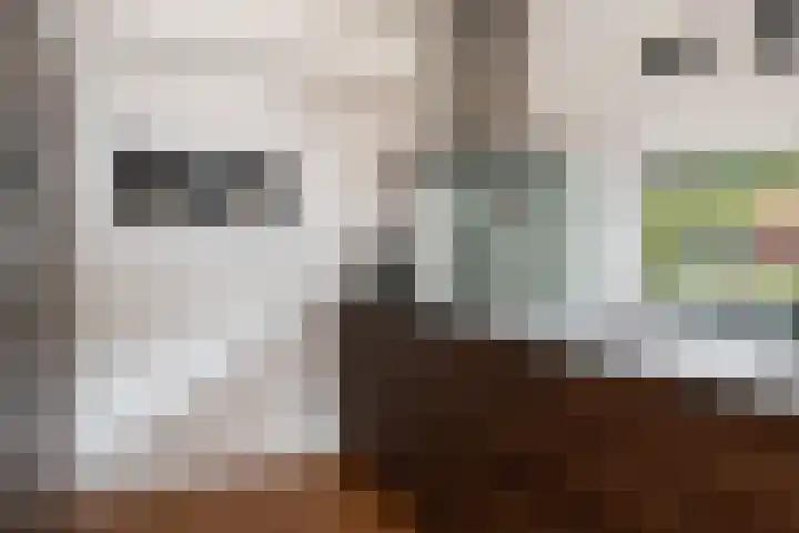 de Dieze 21 Woerden thumbnail 12