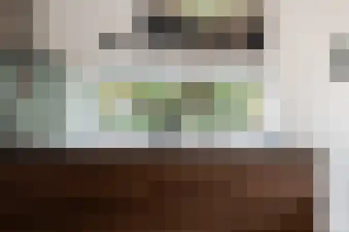de Dieze 21 Woerden thumbnail 13
