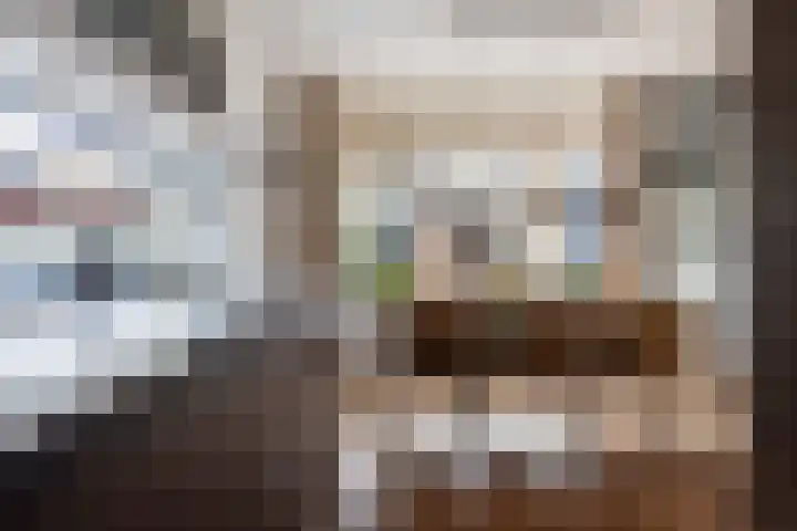 de Dieze 21 Woerden thumbnail 14