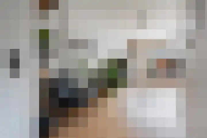 de Dieze 21 Woerden thumbnail 15