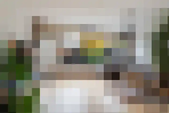 de Dieze 21 Woerden thumbnail 16