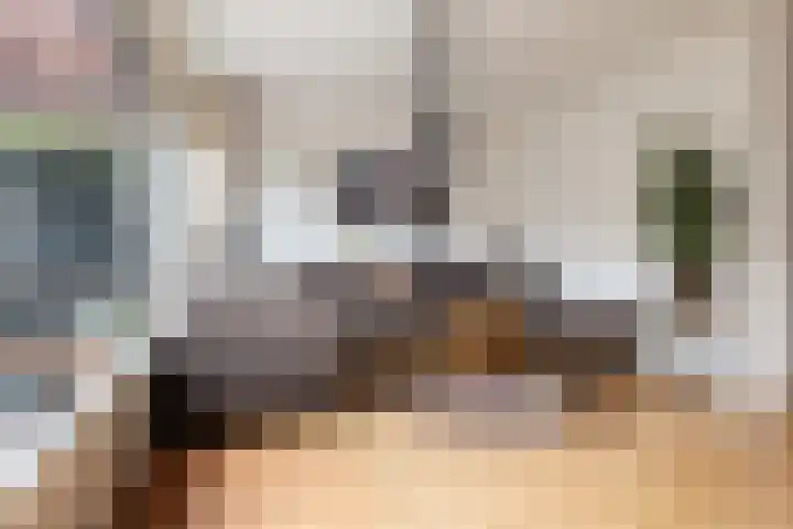 de Dieze 21 Woerden thumbnail 17
