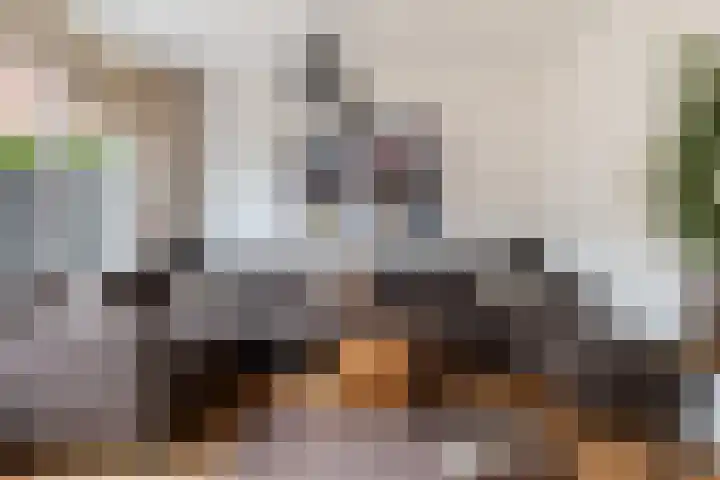 de Dieze 21 Woerden thumbnail 18