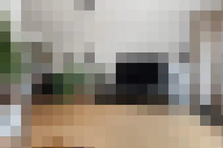 de Dieze 21 Woerden thumbnail 20