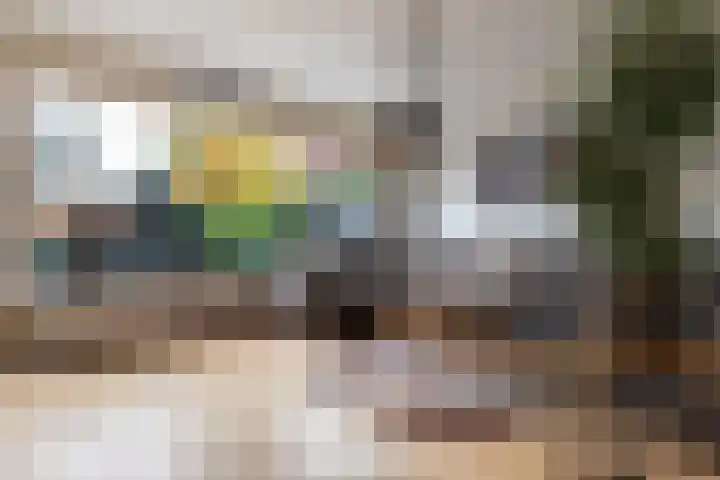 de Dieze 21 Woerden thumbnail 21