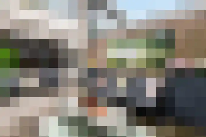 de Dieze 21 Woerden thumbnail 23