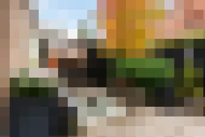 de Dieze 21 Woerden thumbnail 24
