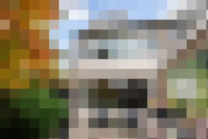 de Dieze 21 Woerden thumbnail 26