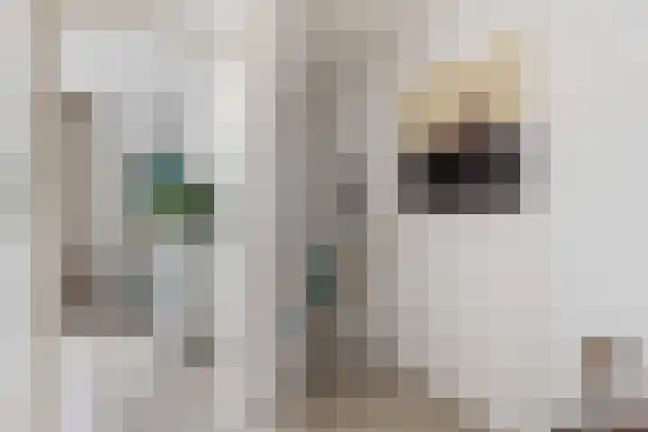 de Dieze 21 Woerden thumbnail 27