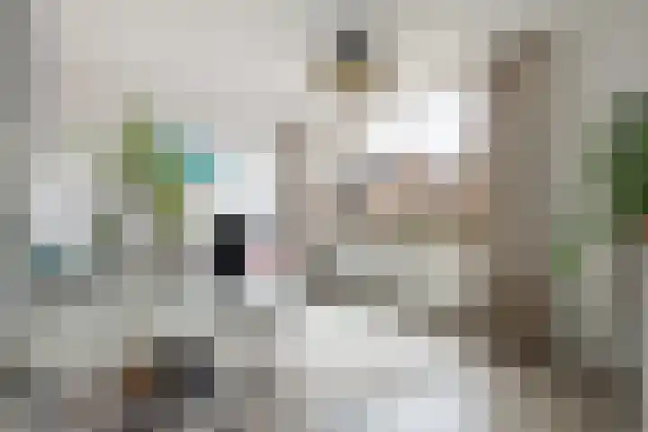 de Dieze 21 Woerden thumbnail 28