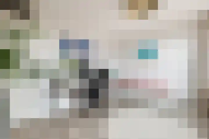de Dieze 21 Woerden thumbnail 29