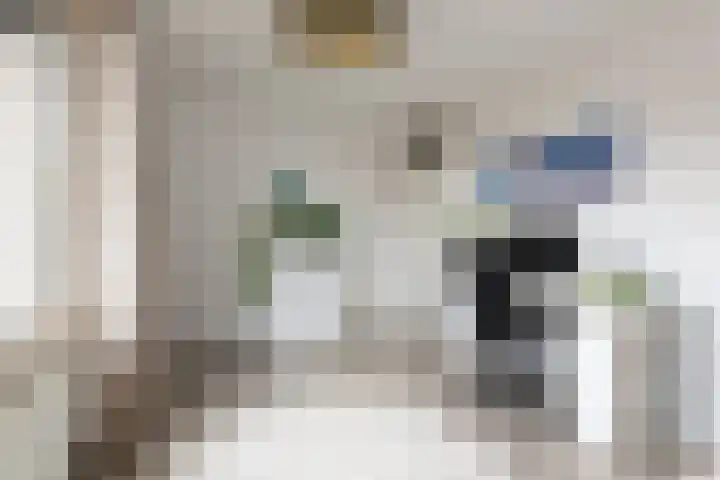 de Dieze 21 Woerden thumbnail 30