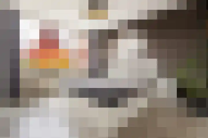 de Dieze 21 Woerden thumbnail 31