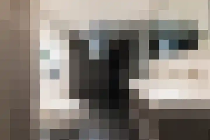 de Dieze 21 Woerden thumbnail 35