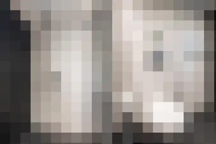 de Dieze 21 Woerden thumbnail 37