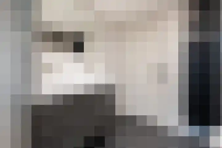 de Dieze 21 Woerden thumbnail 38