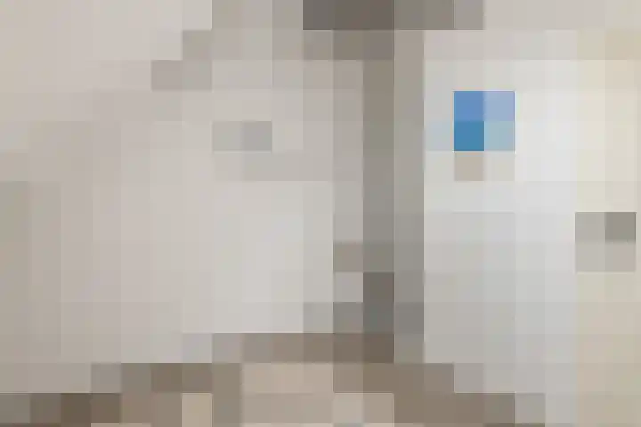 de Dieze 21 Woerden thumbnail 39