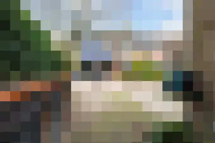 de Dieze 21 Woerden thumbnail 4