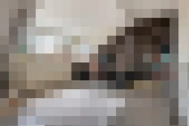 de Dieze 21 Woerden thumbnail 40