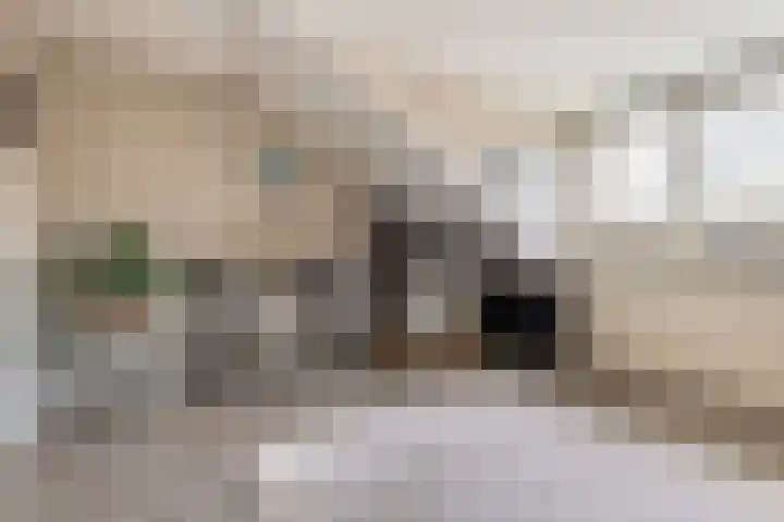 de Dieze 21 Woerden thumbnail 41