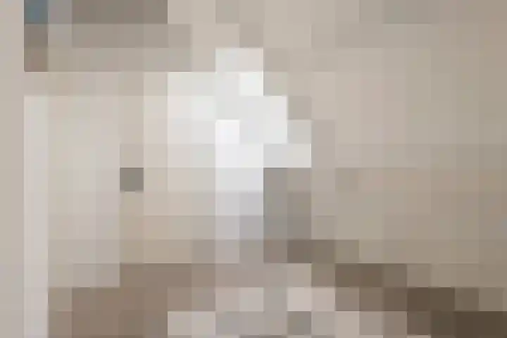 de Dieze 21 Woerden thumbnail 43
