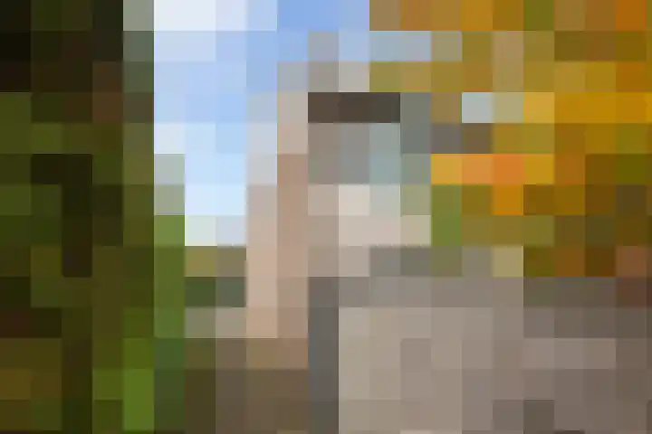 de Dieze 21 Woerden thumbnail 45