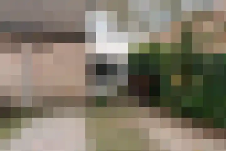 de Dieze 21 Woerden thumbnail 46