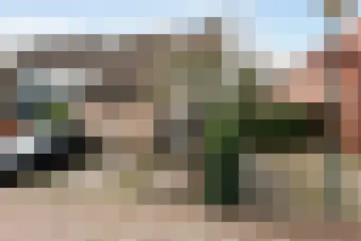 de Dieze 21 Woerden thumbnail 47