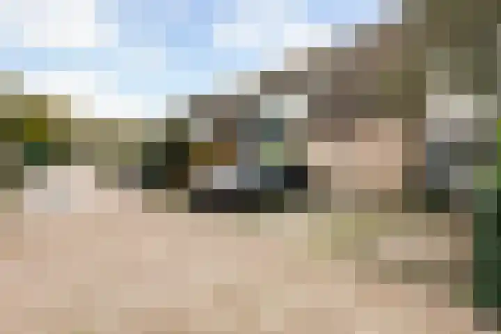 de Dieze 21 Woerden thumbnail 49