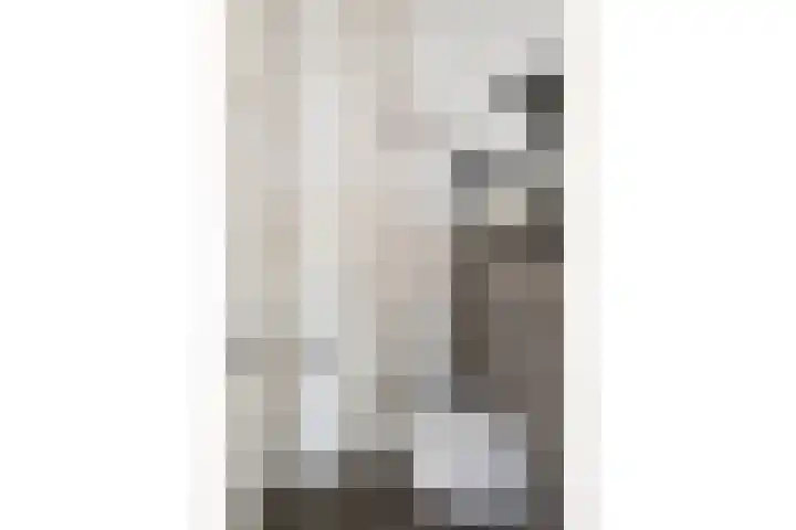 de Dieze 21 Woerden thumbnail 6