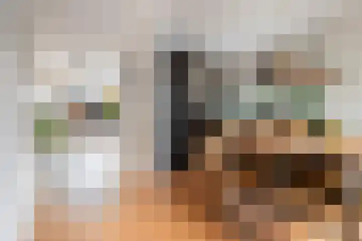 de Dieze 21 Woerden thumbnail 7