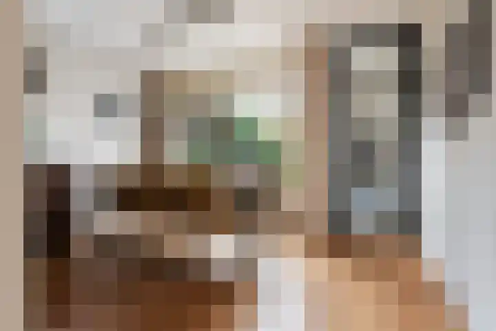 de Dieze 21 Woerden thumbnail 8
