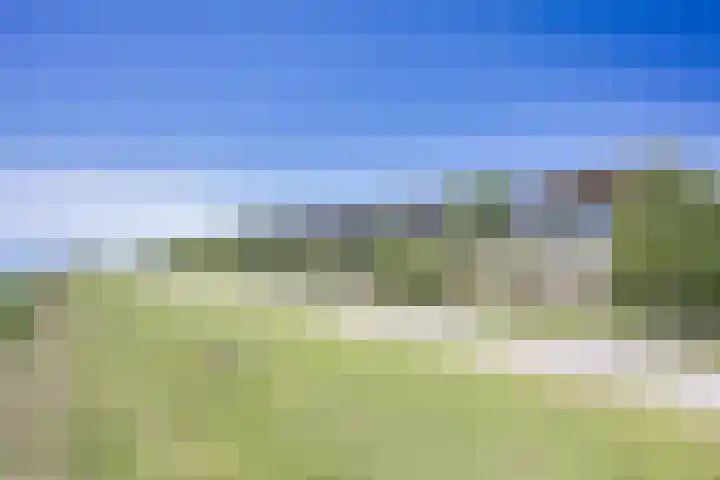 De Dijk 15 Makkum thumbnail 40