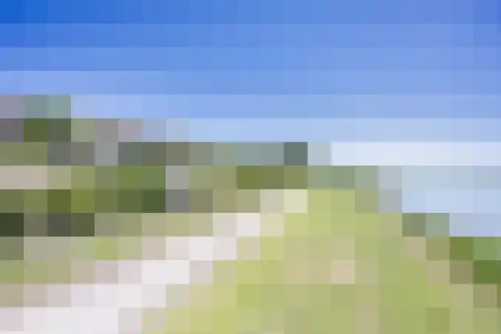 De Dijk 15 Makkum thumbnail 41