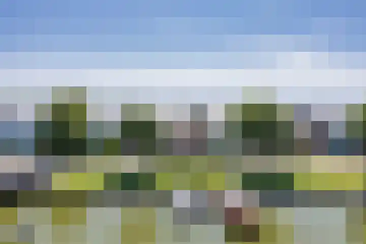 De Dijk 15 Makkum thumbnail 44